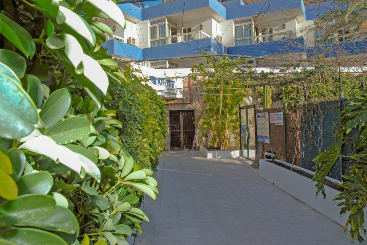 Lufesa Apartment Puerto Rico  Luaran gambar